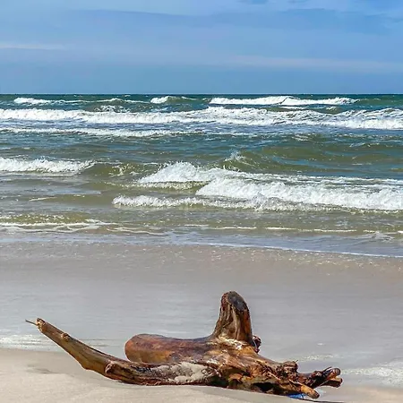 Cozy In With Wifi Σπίτι διακοπών